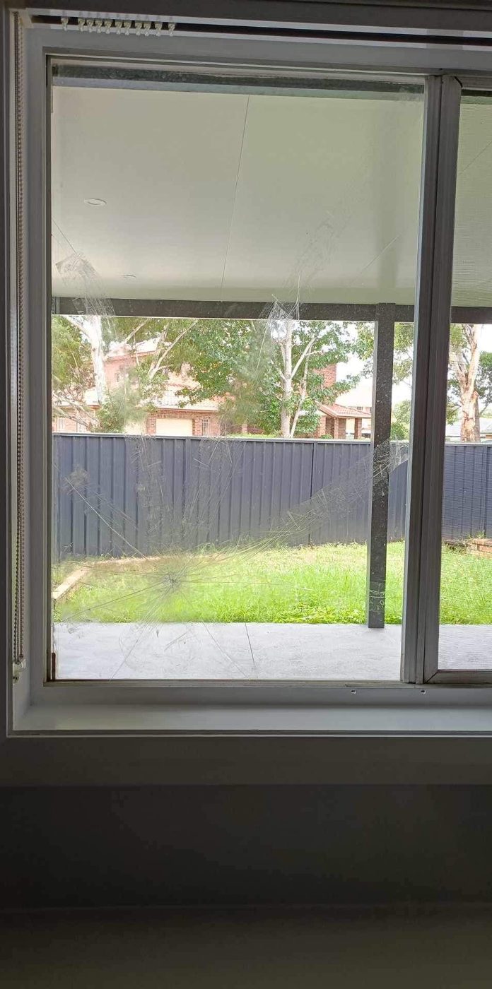 Glass Pet Door Installations by Brisbane City Glass